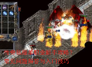 ����˽����ְҵ���ֹ��ԣ����������������ż���