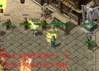 ������ο��������������ֶ������д����