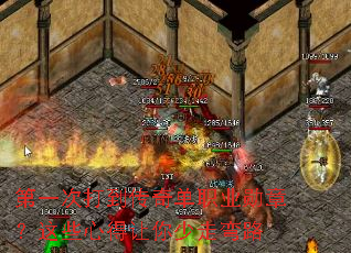 ��һ�δ򵽴��浥ְҵѫ�£���Щ�ĵ�����������·