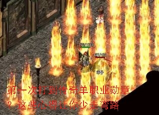 ��һ�δ򵽴��浥ְҵѫ�£���Щ�ĵ�����������·