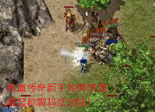 ��Ѫ����������ο�������ư��귨��½��