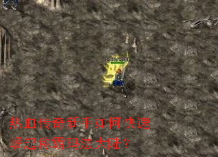 ��Ѫ����������ο�������ư��귨��½��