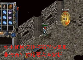 ������ο��ٳư���䵥ְҵ���棿����Ҫ��ȫ����