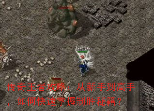 �������߹��ԣ������ֵ����֣���ο���������ʤ�ؼ���