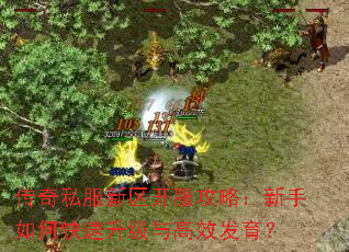 ����˽�������������ԣ�������ο����������Ч������