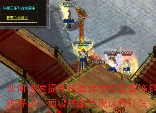 ��ο���������Ѫ����ʱװ���θ��Ƶȼ��������ſ������������