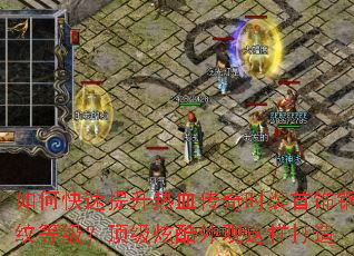 ��ο���������Ѫ����ʱװ���θ��Ƶȼ��������ſ������������