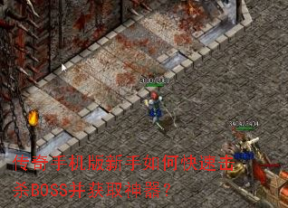 �����ֻ���������ο��ٻ�ɱBOSS����ȡ������