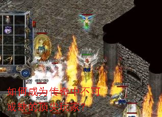 ��γ�Ϊ�����в��ɻ�ȱ�Ķ�����ң�