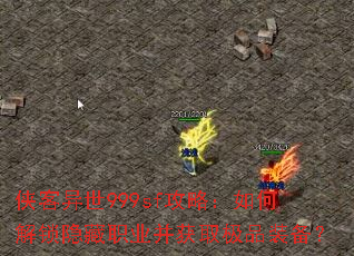 ��������999sf���ԣ���ν�������ְҵ����ȡ��Ʒװ����