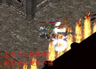 �嶾��������飿��ְҵ����ǿ��ǿ