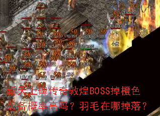 �����ϱ�����ػ�BOSS����ɫװ�����ʸ�����ë���ĵ��䣿