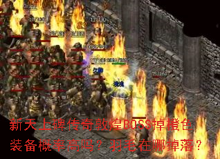 �����ϱ�����ػ�BOSS����ɫװ�����ʸ�����ë���ĵ��䣿