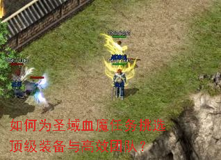 ���Ϊʥ��Ѫħ������ѡ����װ�����Ч�Ŷӣ�