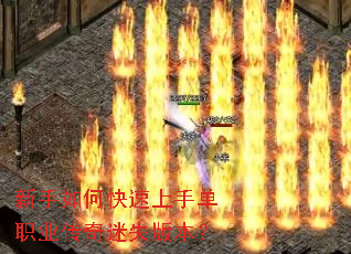 ������ο������ֵ�ְҵ������ʧ�汾��