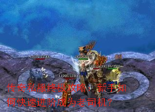 ����˽���ռ����ԣ�������ο��ٽ��׳�Ϊ��˾����