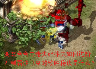 ��̬�Ϻϻ���ʧsfç����ν��ף��ư�ɳ�Ϳ˵���ʤ�ؾ���ʲô��