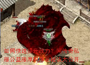 ��ο�������ս����������˽���������������ؾ��󹫿�