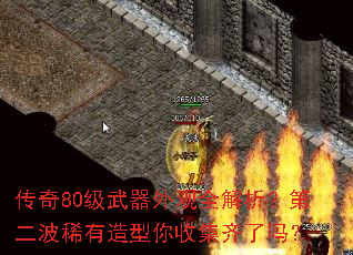 ����80���������ȫ�������ڶ���ϡ���������ռ�������