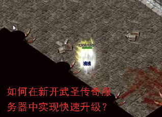 ������¿���ʥ�����������ʵ�ֿ���������