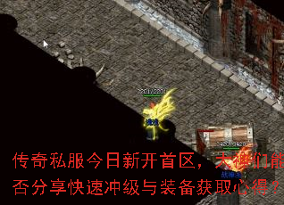 ����˽�������¿��������������ܷ�������ٳ弶��װ����ȡ�ĵã�
