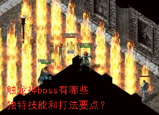 ������boss����Щ���ؼ��ܺʹ�Ҫ�㣿