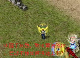 ��԰ǧ���죬��ֲ���ʹ��棺��ս������ο������֣�