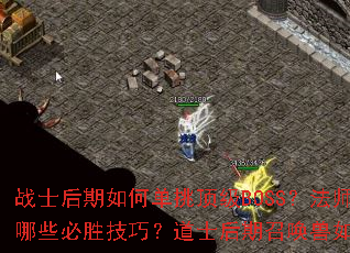 սʿ������ε�������BOSS����ʦ����Ⱥս����Щ��ʤ���ɣ���ʿ�����ٻ�������������۷壿