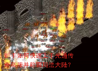 新手如何快速上手光通传奇私服并称霸玛法大陆? 新手如何快速上手光通传奇私服并称霸玛法大陆?
