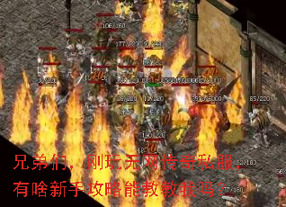 兄弟们,刚玩无网传奇私服,有啥新手攻略能教教我吗? 兄弟们,刚玩无网传奇私服,有啥新手攻略能教教我吗?