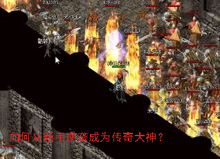 ��δ�������Ϯ��Ϊ�������