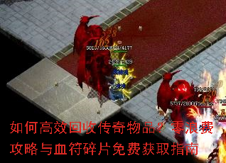 ��θ�Ч���մ�����Ʒ�����˷ѹ�����Ѫ����Ƭ��ѻ�ȡָ��