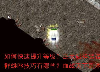 如何快速提升等级?逆天弑神装备获取攻略?傲视群雄PK技巧有哪些?血战天下副本怎么通关? 如何快速提升等级?逆天弑神装备获取攻略?傲视群雄PK技巧有哪些?血战天下副本怎么通关?
