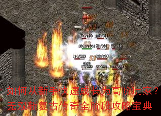 ��δ����ֿ��ٳɳ�Ϊ�߽���ң���˫ն���Ŵ���ȫ�׶ι��Ա���