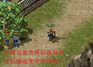 如何设置传奇私服自动挂机但避免攻击怪物? 如何设置传奇私服自动挂机但避免攻击怪物?