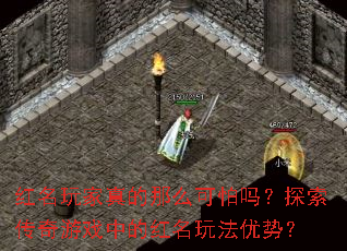 ������������ô������̽��������Ϸ�еĺ����淨���ƣ�