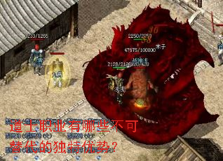 道士职业有哪些不可替代的独特优势? 道士职业有哪些不可替代的独特优势?