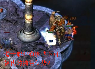 ��ʿְҵ����Щ��������Ķ������ƣ�