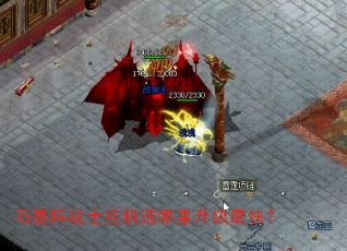 ʯĹ��սʿ�һ�ѡ����������죿