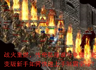 ս����ȼ������˽��˭�����棿�����������ο��������ư�ȫ����