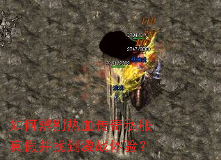 ��α����Ѫ����˽����ٲ��ҵ���ս���飿