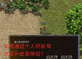 如何通过个人经验有效提升武器等级? 如何通过个人经验有效提升武器等级?
