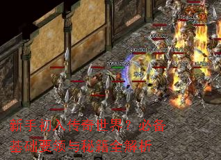 ���ֳ��봫�����磿�ر�����Ҫ�����ؼ�ȫ����