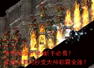 传奇私服sf134新手必看?如何从菜鸟秒变大神称霸全服? 传奇私服sf134新手必看?如何从菜鸟秒变大神称霸全服?