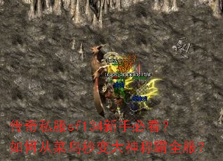 ����˽��sf134���ֱؿ�����δӲ���������ư�ȫ����
