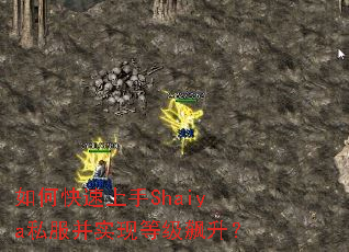 ��ο�������Shaiya˽����ʵ�ֵȼ������