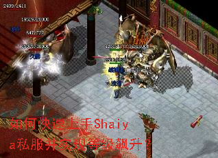 ��ο�������Shaiya˽����ʵ�ֵȼ������