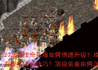 2026�괫��˽����ο�����������ɳ�ᱦ����Щ��ʤ���ɣ�����װ�����ѡ������죿