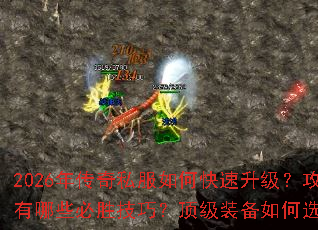 2026�괫��˽����ο�����������ɳ�ᱦ����Щ��ʤ���ɣ�����װ�����ѡ������죿