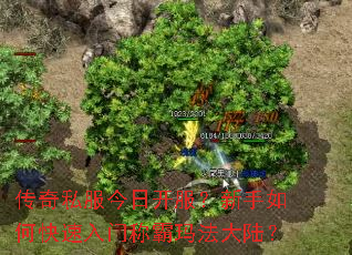 传奇私服今日开服?新手如何快速入门称霸玛法大陆? 传奇私服今日开服?新手如何快速入门称霸玛法大陆?